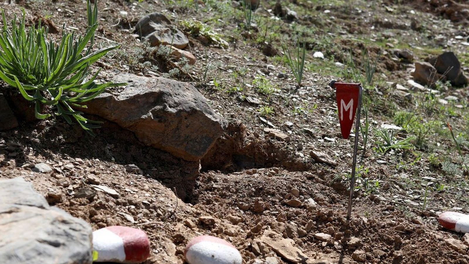 Taliban Calls for International Cooperation to Clear Mines in Afghanistan