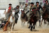 Afghanistan's National Buzkashi Team to Participate in Kazakhstan Tournament; Cricket Board Announces Series Postponement, Leadership Change