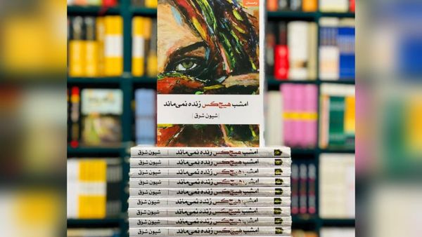 Review of Shiun Sharq's Novel 'No One Survives Tonight' Critiques Patriarchy