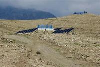 30,000 Saplings Planted for Bairo Forest Project in Laghman