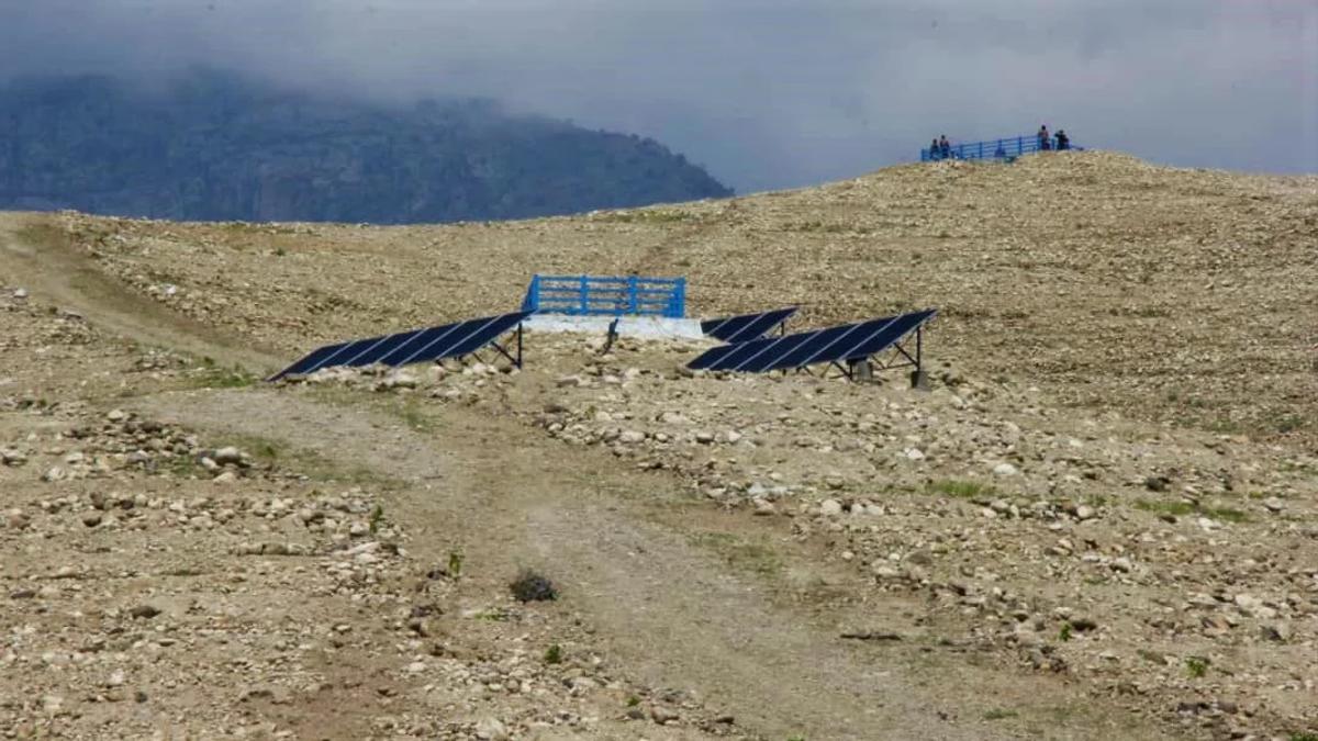30,000 Saplings Planted for Bairo Forest Project in Laghman