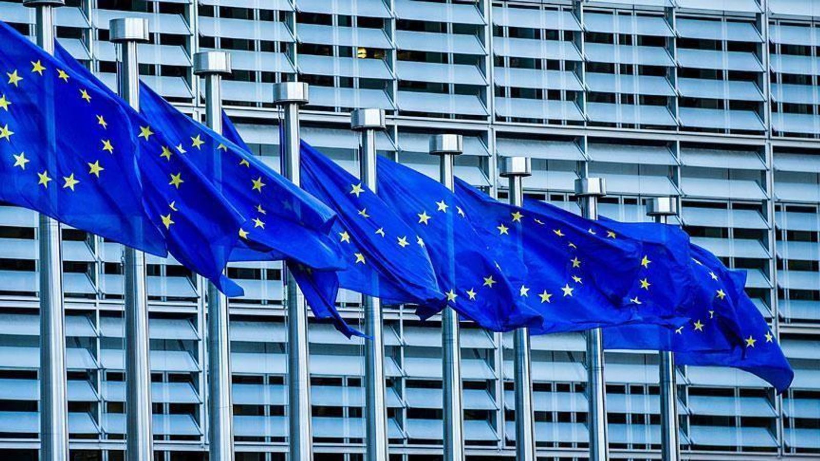 European Union Allocates 250,000 Euros in Humanitarian Aid for Vulnerable Afghans
