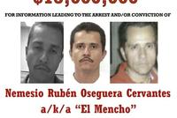 Mexican Army Reports Killing Cartel Leader 'El Mencho' in Raid, Triggering Road Blockades and Unrest