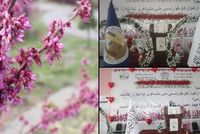 Parwan Province Hosts 14th Annual 'Gul-e Arghavan' National Poetry Recitation