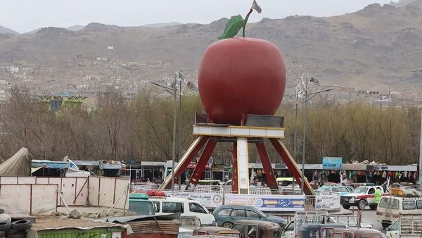 Suspect Arrested in Meydan Wardak for Firing Gunshots to Claim Girl for Marriage