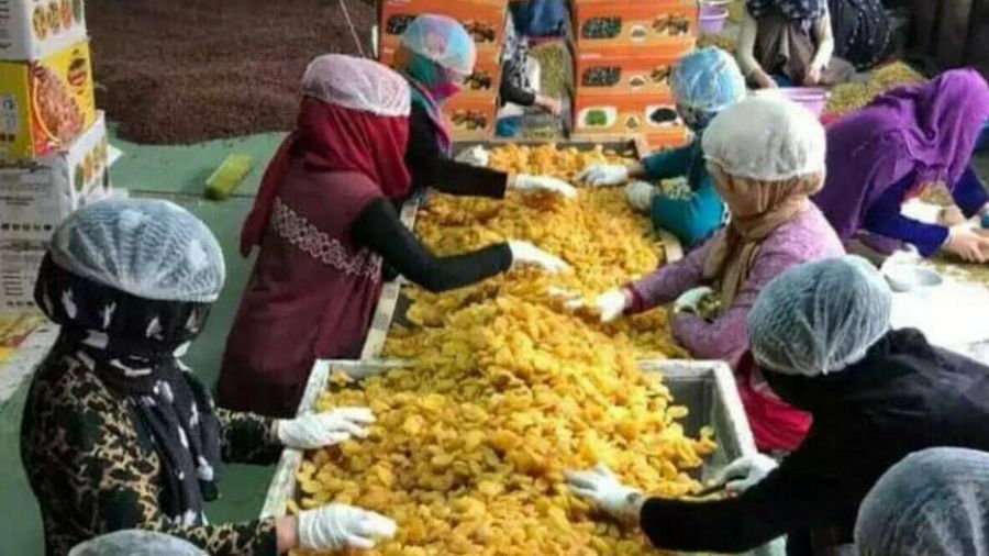 Russian Trade Center in Afghanistan: Fruits and Vegetables to Supply Russia Amid Iran Export Halt
