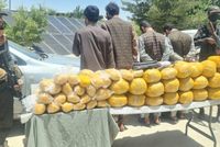 Four arrested, 231 kilograms of opium seized in Ghazni