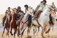 Afghanistan's Buzkashi Team Defeats Russia 5-0 at International Tournament in Kazakhstan