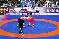 Premier Pahlawani League Final to Crown First Champion Tonight in Kabul