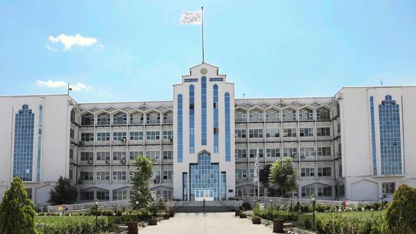 Islamic Emirate Justice Minister Urges Cooperation in Aiding Wounded from Pakistan Border Attacks