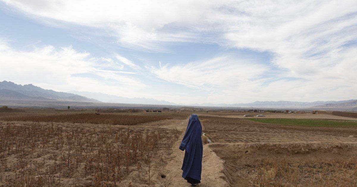 Reports Document Sexual Violence by Taliban in Afghan Detention Centers