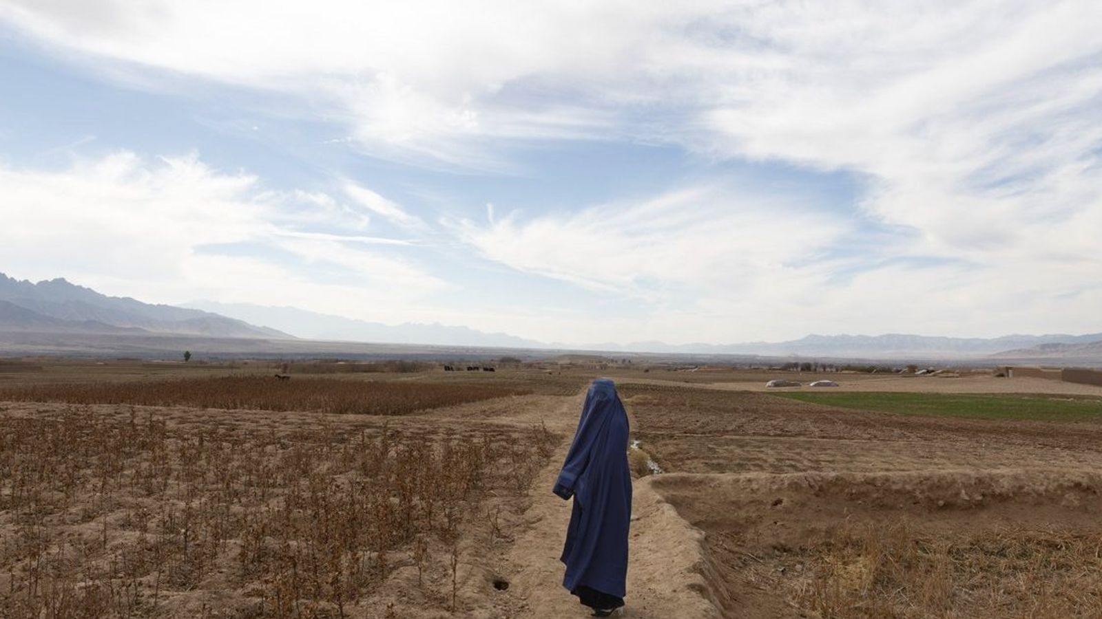 Reports Document Sexual Violence by Taliban in Afghan Detention Centers