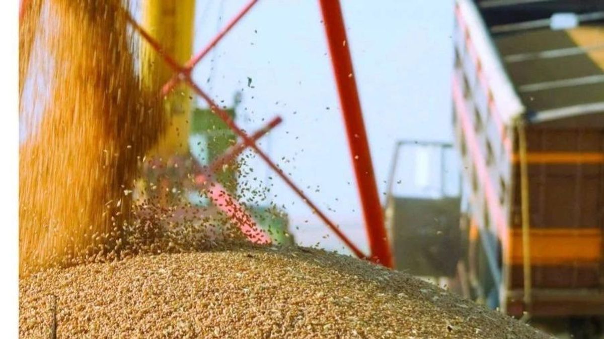 Kazakhstan Grain Exports to Afghanistan Rise Sharply in Early 2026