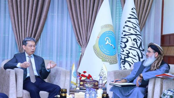Public Health Minister Meets Chinese Ambassador in Kabul on Traditional Medicine