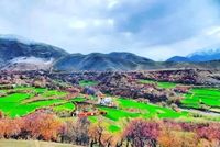 Significant Gold Deposits Identified in Panjshir Province's Paryan District