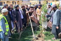 National Spring Tree-Planting Campaign Launched in Kabul