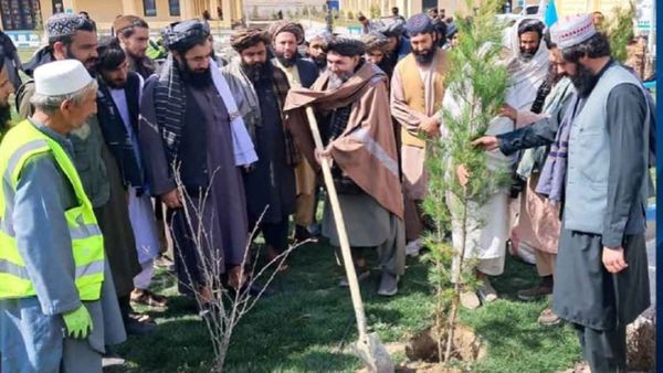 National Spring Tree-Planting Campaign Launched in Kabul