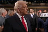 Democratic lawmakers protest during Trump's address to US Congress