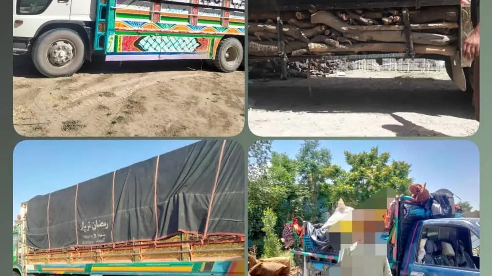 Security Officials Prevent Timber Smuggling in Paktika