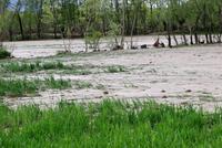 One Child Killed, Houses and Farmland Damaged in Kapisa Floods