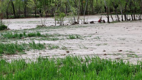 One Child Killed, Houses and Farmland Damaged in Kapisa Floods