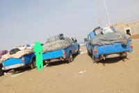 More Than Seven Tons of Illegal Food Items Seized in Helmand