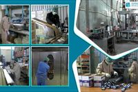 Ghazni Province Issues 60 New Factory Licenses Amid Industrial Expansion