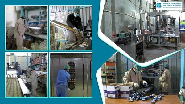 Ghazni Province Issues 60 New Factory Licenses Amid Industrial Expansion