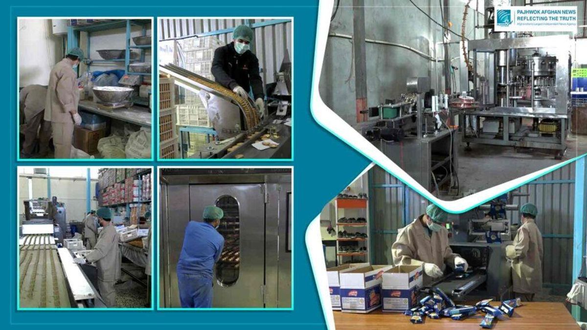 Ghazni Province Issues 60 New Factory Licenses Amid Industrial Expansion