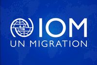 IOM Urges Pakistan to Halt Forced Deportation of Afghan Refugees