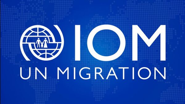IOM Urges Pakistan to Halt Forced Deportation of Afghan Refugees