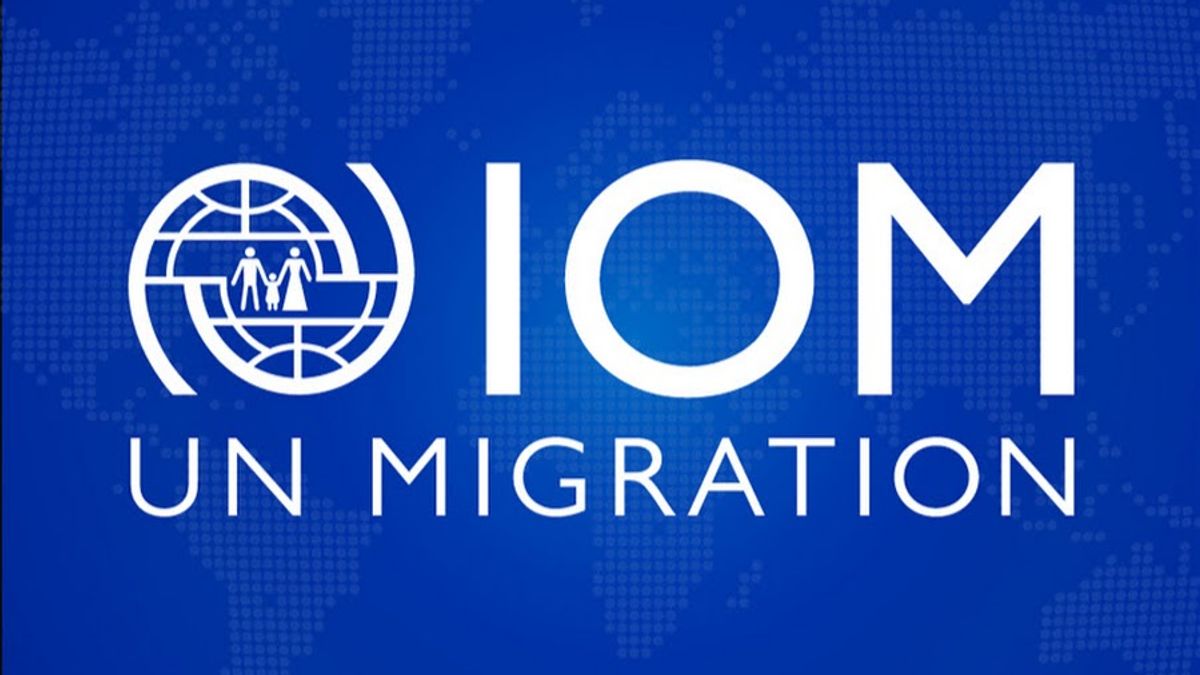 IOM Urges Pakistan to Halt Forced Deportation of Afghan Refugees