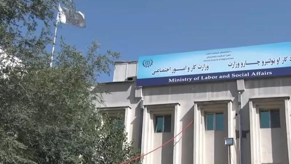 Afghanistan's Ministry of Labor and Social Affairs Handles 14,594 Child Protection Cases in 1404