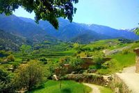 Islamic Emirate Reports Civilian Killed, Woman Wounded in Pakistani Fire in Kunar