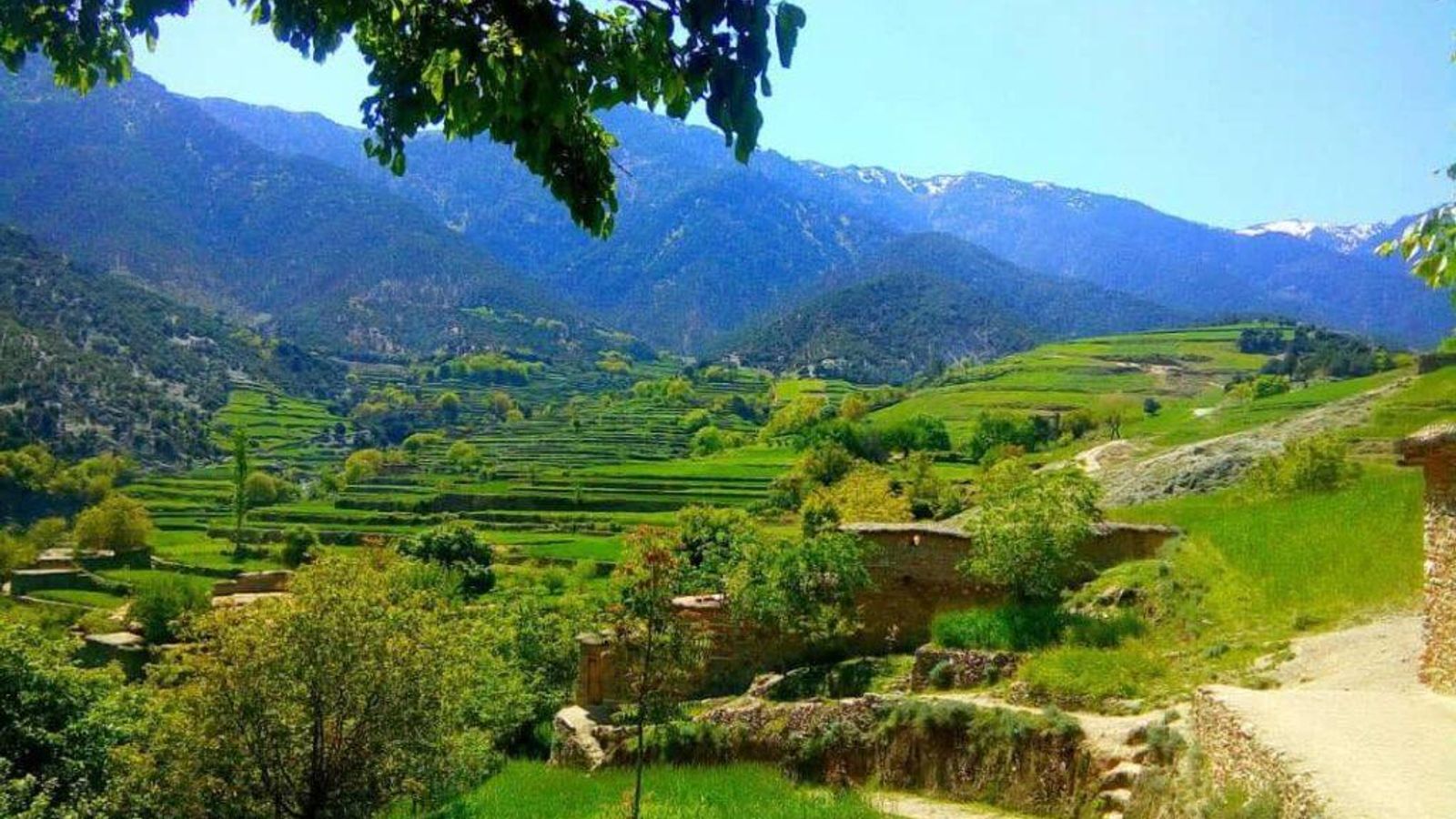Islamic Emirate Reports Civilian Killed, Woman Wounded in Pakistani Fire in Kunar