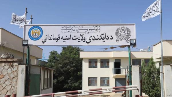 Daikundi Authorities Collect 137 Drug Addicts for Treatment