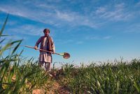 Afghanistan's Agriculture Ministry Allocates 72,000 Jeribs of Land to Investors