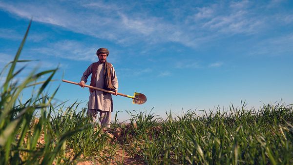 Afghanistan's Agriculture Ministry Allocates 72,000 Jeribs of Land to Investors