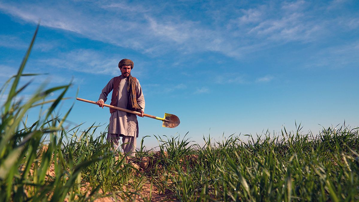 Afghanistan's Agriculture Ministry Allocates 72,000 Jeribs of Land to Investors