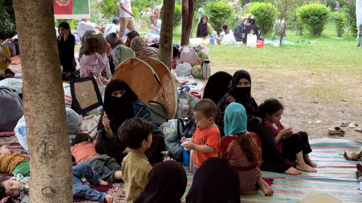 35 Undocumented Afghan Migrants Detained in Peshawar