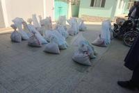 Demonstration Plots for Corn and Beans Being Established on 35 Jeribs of Land in Logar