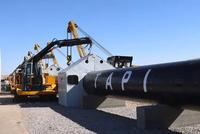 Mines and Petroleum Minister Inspects TAPI Pipeline Progress in Herat