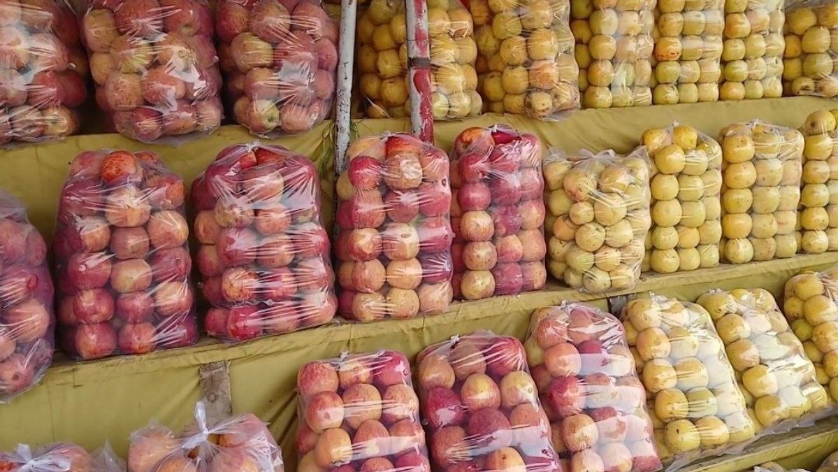 Kapisa Farmers Face Agricultural Crisis Over Lack of Fertilizers, Storage and Market Access