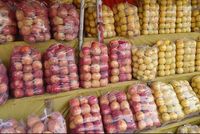 Kapisa Farmers Face Agricultural Crisis Over Lack of Fertilizers, Storage and Market Access