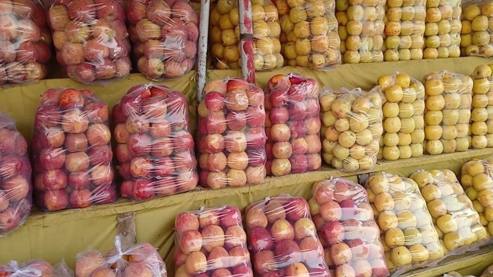 Kapisa Farmers Face Agricultural Crisis Over Lack of Fertilizers, Storage and Market Access