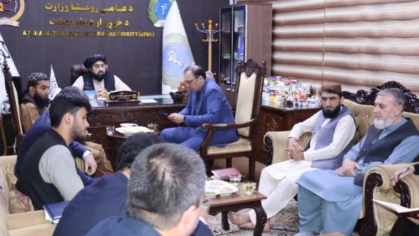 Afghanistan and Uzbekistan Emphasize Expansion of Health Cooperation