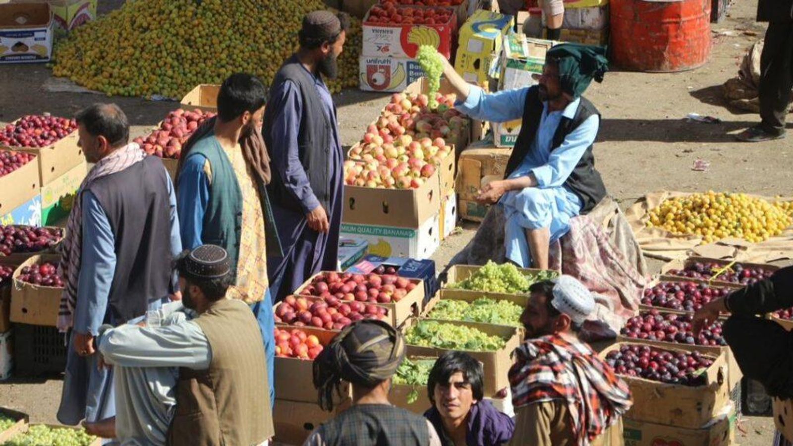Herat Orchard Owners Report Higher Fruit Yields Despite Persistent Challenges