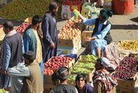 Herat Orchard Owners Report Higher Fruit Yields Despite Persistent Challenges