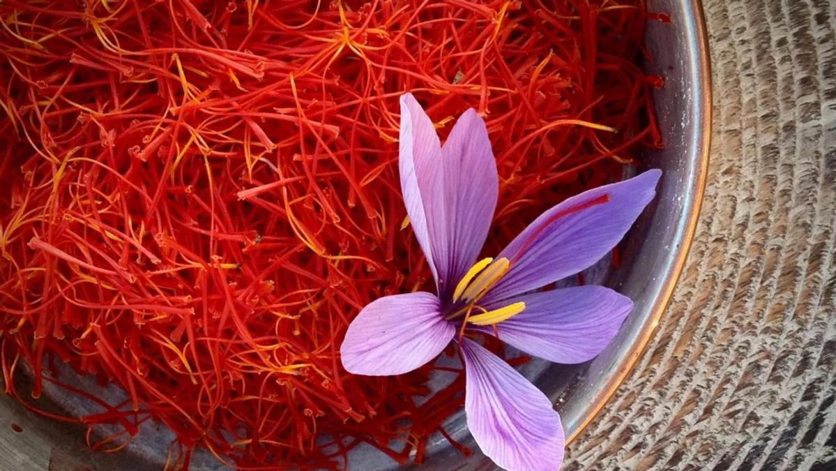 Afghanistan's Saffron Exports Reach $54 Million Last Year