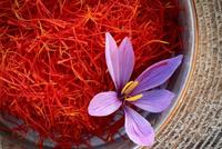 Afghanistan's Saffron Exports Reach $54 Million Last Year